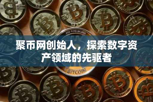 聚币网创始人，探索数字资产领域的先驱者
