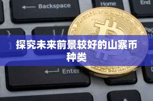 探究未来前景较好的山寨币种类