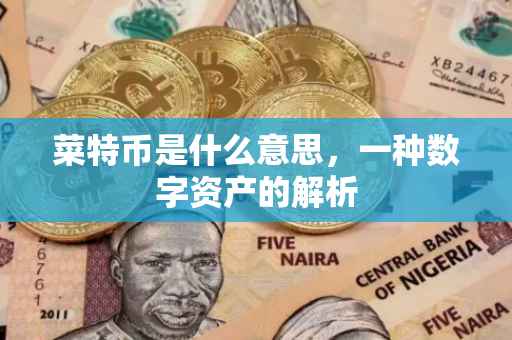 菜特币是什么意思，一种数字资产的解析