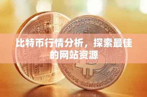 比特币行情分析，探索最佳的网站资源