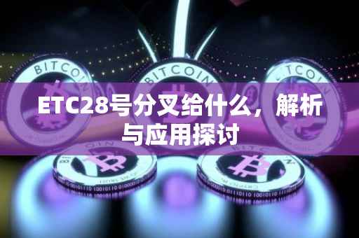 ETC28号分叉给什么，解析与应用探讨