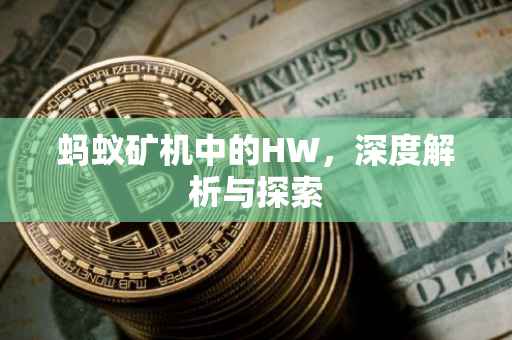 蚂蚁矿机中的HW，深度解析与探索
