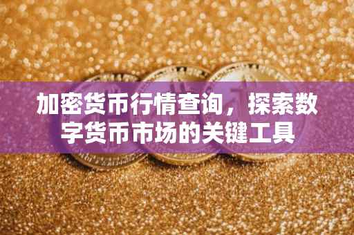 加密货币行情查询，探索数字货币市场的关键工具