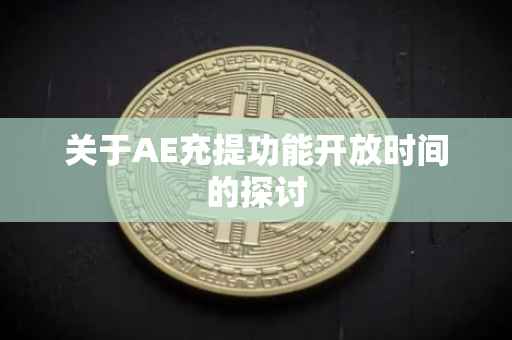 关于AE充提功能开放时间的探讨