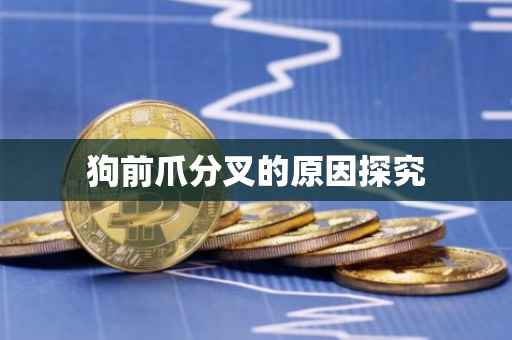 狗前爪分叉的原因探究