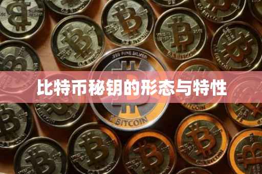 比特币秘钥的形态与特性