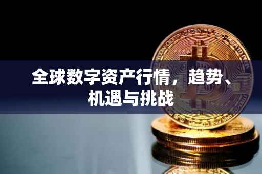 全球数字资产行情，趋势、机遇与挑战