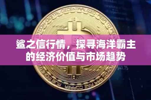鲨之信行情，探寻海洋霸主的经济价值与市场趋势