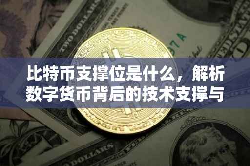 比特币支撑位是什么，解析数字货币背后的技术支撑与市场动态