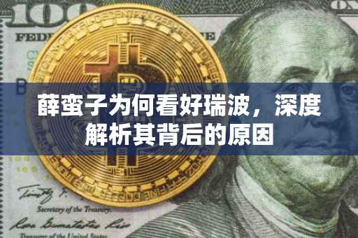 薛蛮子为何看好瑞波，深度解析其背后的原因