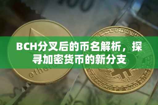 BCH分叉后的币名解析，探寻加密货币的新分支
