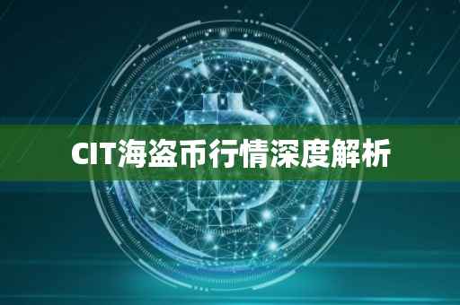 CIT海盗币行情深度解析