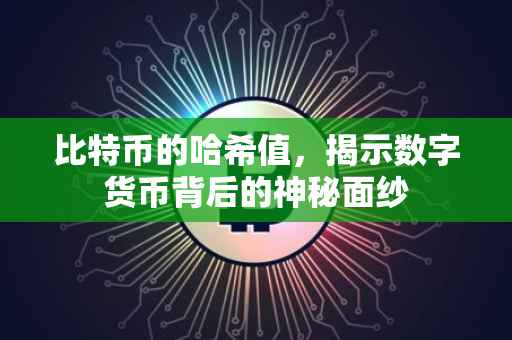 比特币的哈希值，揭示数字货币背后的神秘面纱