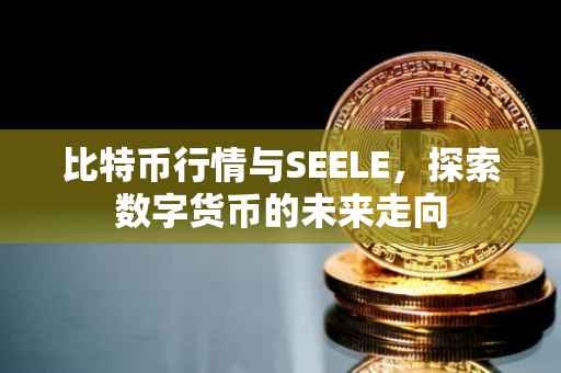 比特币行情与SEELE，探索数字货币的未来走向