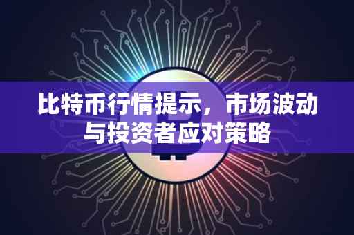 比特币行情提示，市场波动与投资者应对策略