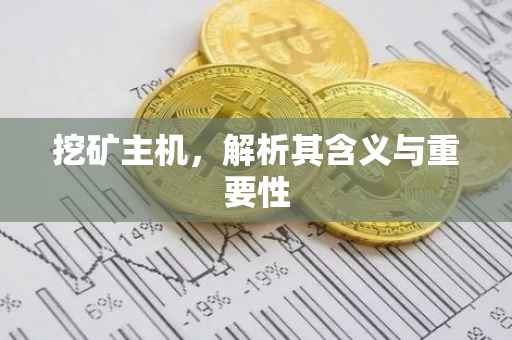 挖矿主机，解析其含义与重要性