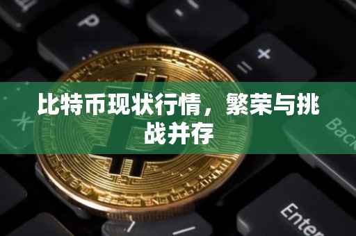 比特币现状行情，繁荣与挑战并存