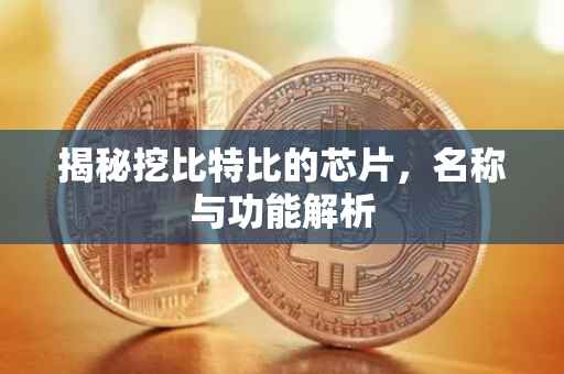 揭秘挖比特比的芯片，名称与功能解析