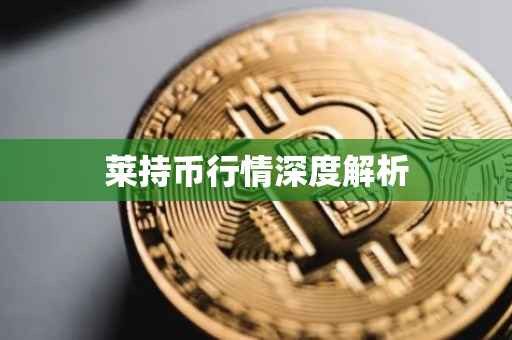 莱持币行情深度解析