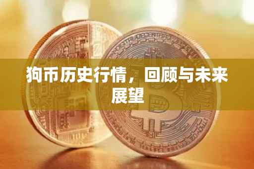 狗币历史行情，回顾与未来展望
