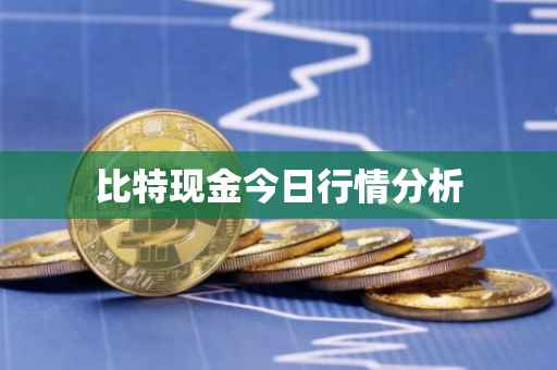 比特现金今日行情分析