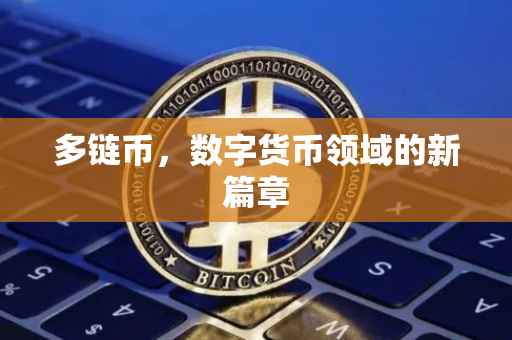 多链币，数字货币领域的新篇章