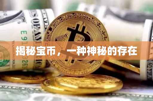 揭秘宝币，一种神秘的存在
