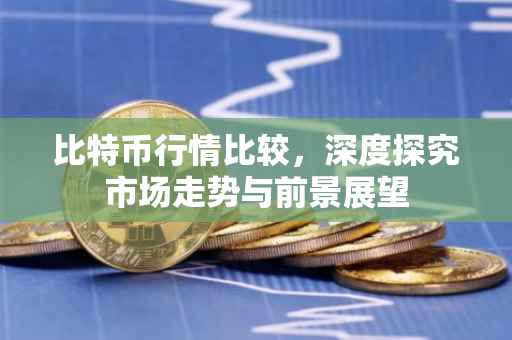 比特币行情比较，深度探究市场走势与前景展望