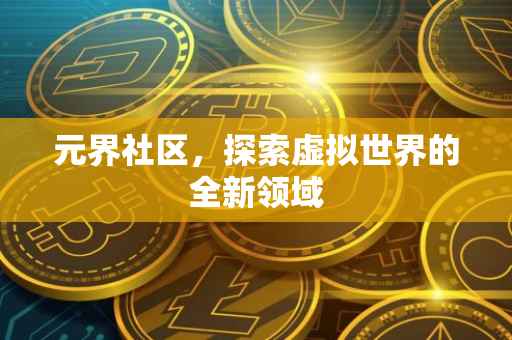 元界社区，探索虚拟世界的全新领域