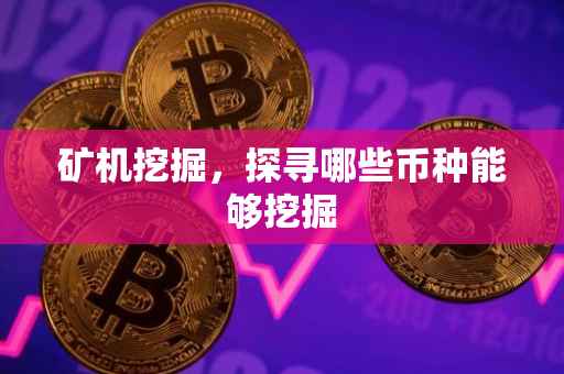 矿机挖掘，探寻哪些币种能够挖掘