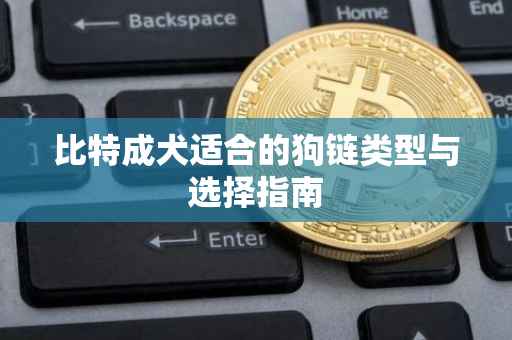 比特成犬适合的狗链类型与选择指南