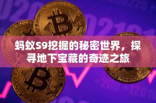 蚂蚁S9挖掘的秘密世界，探寻地下宝藏的奇迹之旅