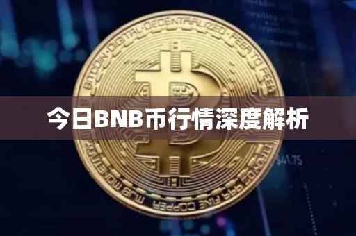今日BNB币行情深度解析