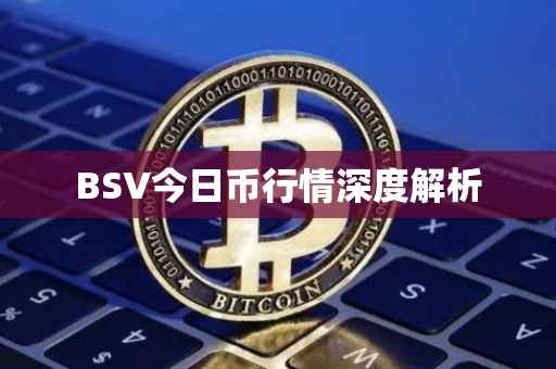 BSV今日币行情深度解析