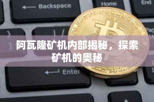 阿瓦隆矿机内部揭秘，探索矿机的奥秘