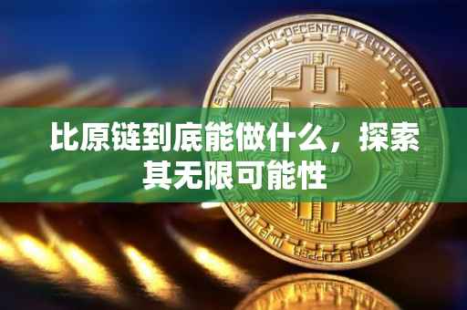比原链到底能做什么，探索其无限可能性