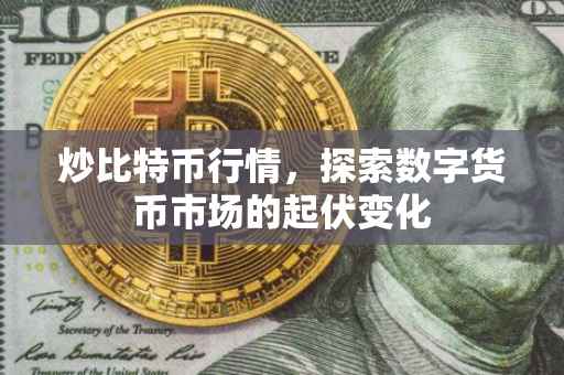 炒比特币行情，探索数字货币市场的起伏变化