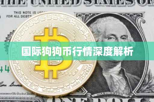 国际狗狗币行情深度解析