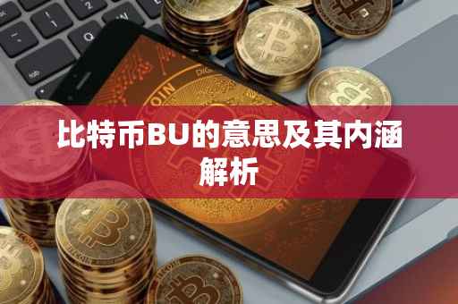 比特币BU的意思及其内涵解析