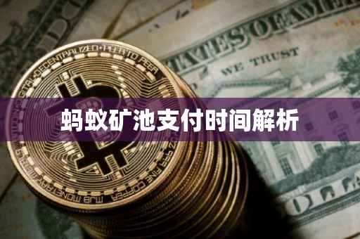 蚂蚁矿池支付时间解析