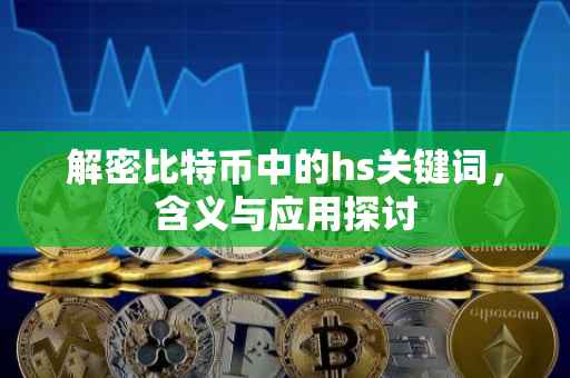 解密比特币中的hs关键词，含义与应用探讨