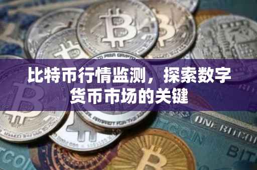 比特币行情监测，探索数字货币市场的关键
