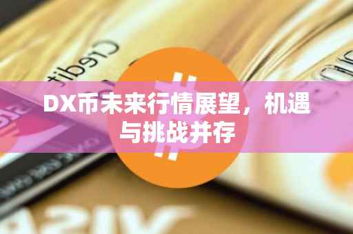 DX币未来行情展望，机遇与挑战并存