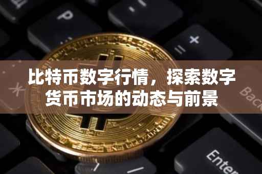 比特币数字行情，探索数字货币市场的动态与前景