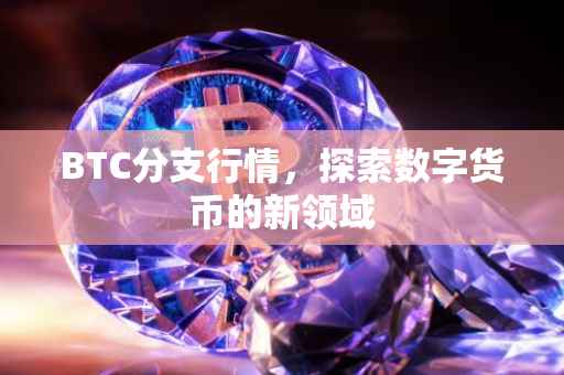 BTC分支行情，探索数字货币的新领域