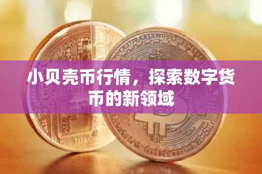小贝壳币行情，探索数字货币的新领域