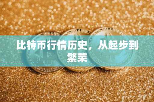 比特币行情历史，从起步到繁荣