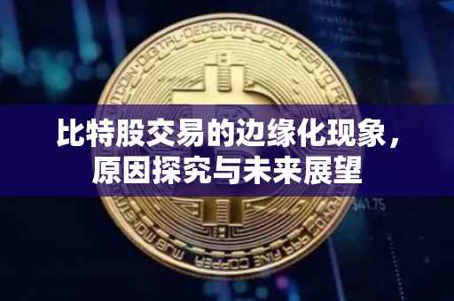 比特股交易的边缘化现象,原因探究与未来展望