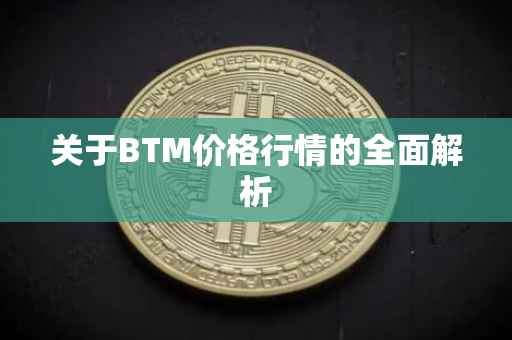 关于BTM价格行情的全面解析
