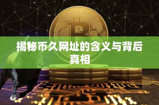 揭秘币久网址的含义与背后真相